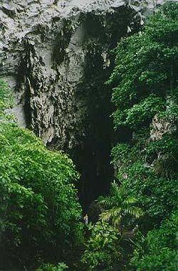 Cueva del
