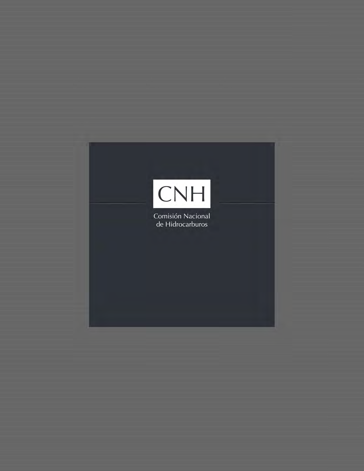 Contrato CNH-R01-L02-A1/2015 DICTAMEN (Documento Soporte de Decisión)