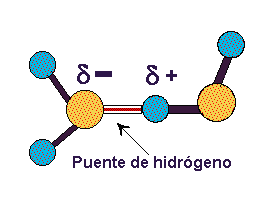Por eso en la práctica la molécula de agua se comporta como un dipolo Así se establecen interacciones dipolo-dipolo entre las propias moléculas de agua, formándose enlaces o puentes de hidrógeno, la