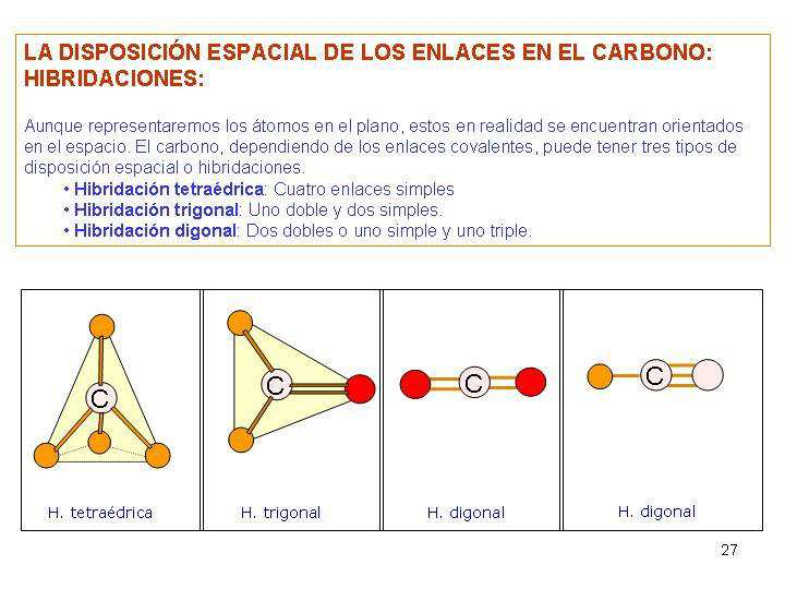 2. LOS ENLACES COVALENTES DEL CARBONO Y DE OTROS BIOELEMENTOS El átomo de carbono tiene 4 electrones en la última capa.
