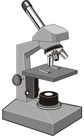 Diferencias entre el microscopio óptico y del microscopio electrónico Microscopio óptico Fuente de iluminación: La luz Se pueden ver seres vivos Microscopio electrónico Fuente de iluminación:
