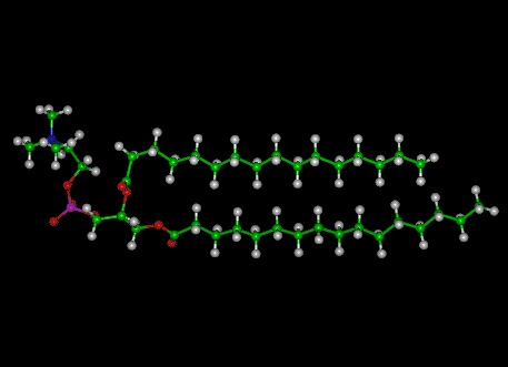 Las moléculas orgánicas, como este fosfoglicérido, están