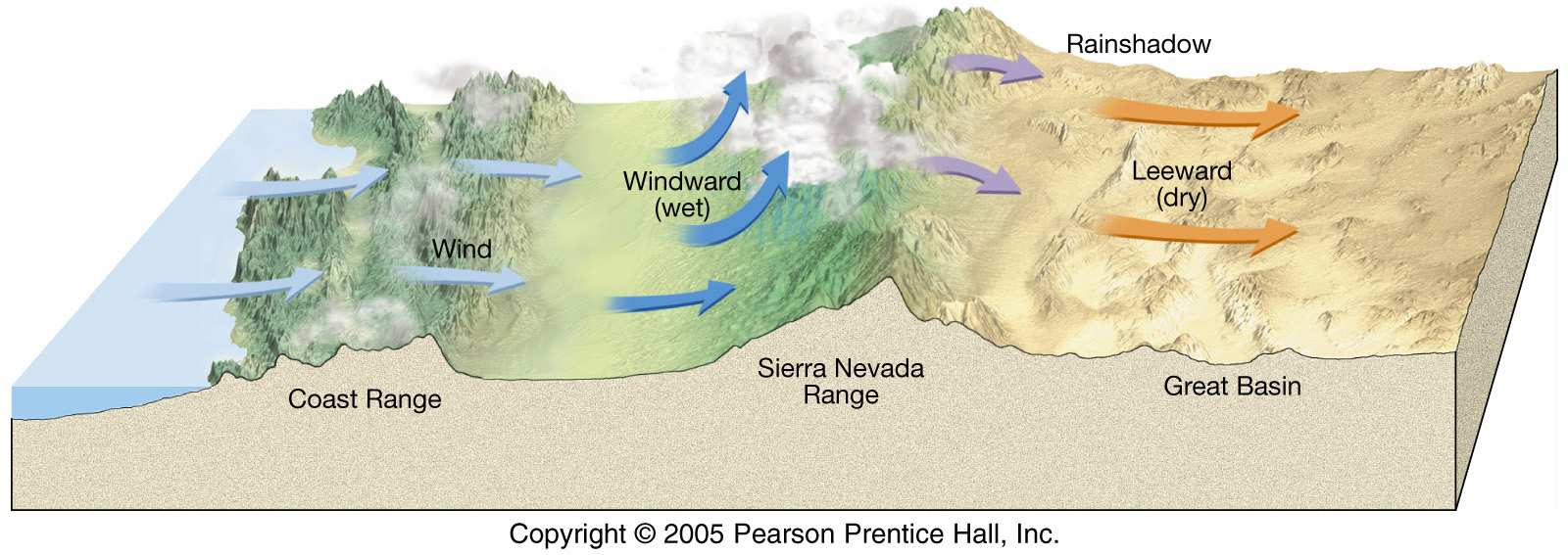 Los desiertos: dominios característicos Distintos tipos de áreas desérticas: Desiertos subtropicales Cinturones climáticos sin precipitaciones.