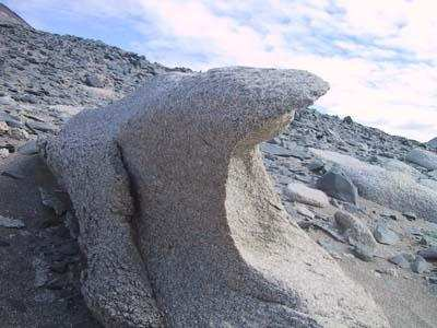 SEDIMENTACIÓN El viento favorece y condiciona la sedimentación de arena y materiales fonos en determinados lugares.