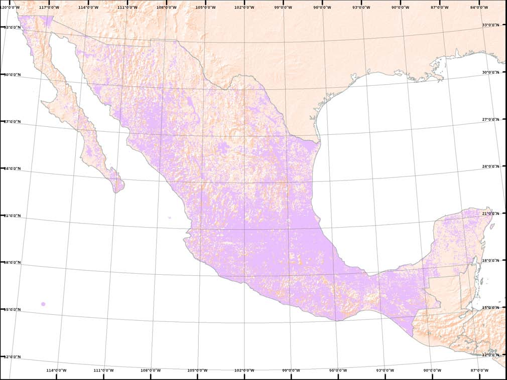 Distribución de la Población Localidades Rurales 1-2499 hab. Localidades Urbanas 2500-99 999 hab.