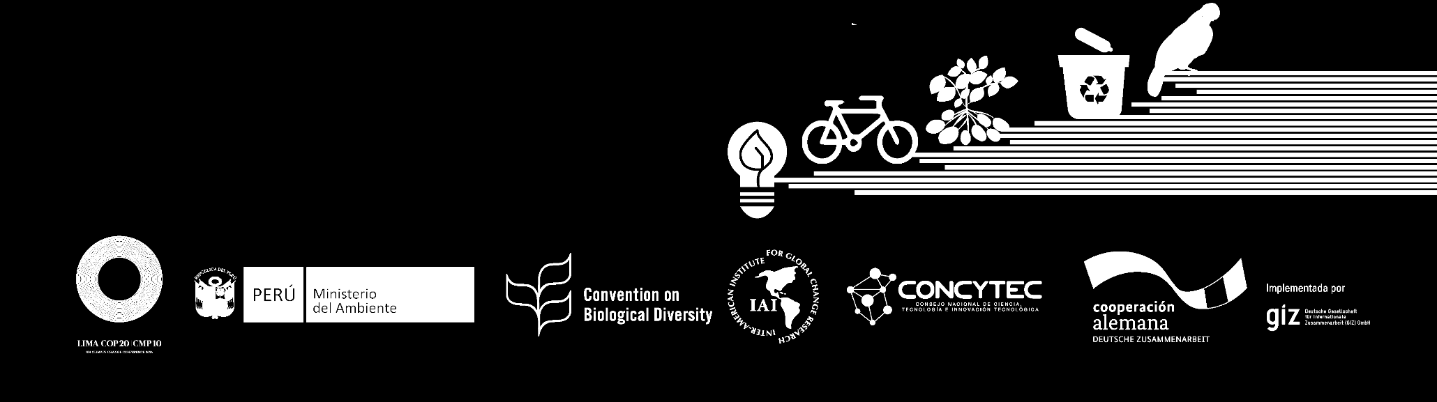 International Symposium Biodiversity and Climate Change Contributions From Science to Policy for Sustainable Development Lima, 27th and 28th of November, Lima 2014 Consideraciones sobre el