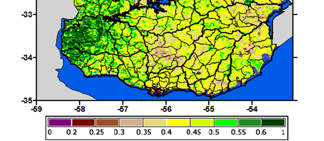 MONITOREO DE LA VEGETACION (NDVI) a finales de la 2da década de marzo de 2015 Existen áreas del País donde el vigor de la vegetación está reducida (este de Paysandú y Florida), mientras que en otros