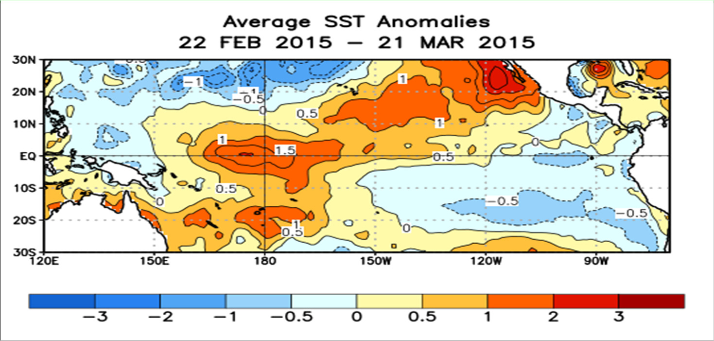 Anomalías de la SST ( o C) en el Pacífico tropical durante el último mes Durante las últimas semanas, las temperaturas de la superficie del