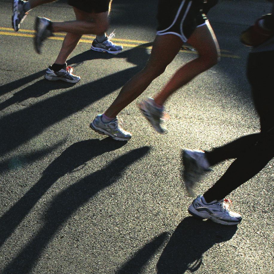 ESTRUCTURA DEL CURSO El curso de preparación física de maratón está estructurado en 2 módulos de contenidos.