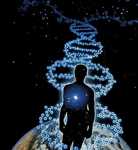 Si se extendiera el ADN de 1 célula humana en una hebra, mediría entre 1-2 m La información la da la