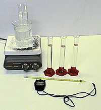 En los tubos de ensayo verter las sustancias después de ser medidas por la pipeta, el paradiclorobenceno en polvo después de ser pesado en la balanza y en el vaso de