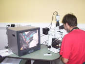 Espectrofotómetro de absorción atómica con horno de grafito Analyst 100. Microscopio petrográfico y mineralógico con salida directa a monitor.