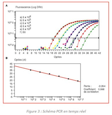 Cuantificación de genoma de rotavirus (carga viral).