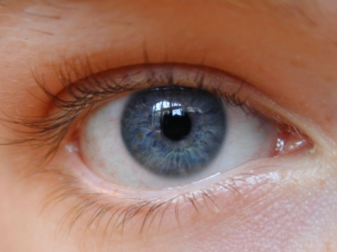 Exploración de fondo de ojo normal OBJETIVOS GENERALES. - Conocer el material necesario para realizar una exploración de fondo de ojo. - Conocer las partes y el uso del oftalmoscopio.