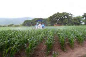 Calibración de aspersoras de tractor Dentro de las labores culturales para el cultivo del sorgo encontramos la fumigación de insecticidas, herbicidas y/o la aplicación de fertilizantes foliares.
