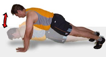 FLEXIONES DE CODO (HOMBRES Y MUJERES). Flexión de brazos. Evaluar la fuerza resistencia en los músculos extensores del codo y hombro. Plano y de piso firme.