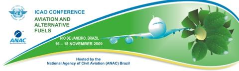 Biocombustibles 11 LINEAS DE ACTUACIÓN Avances realizados en Latinoamérica e impulso dado por Brasil a la primera La I Conferencia Internacional sobre la Aviación y los Combustibles Alternativos