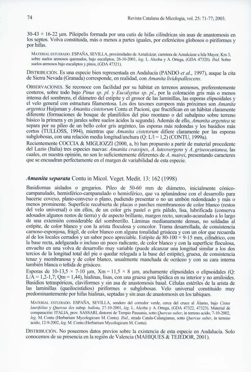 74 Revista Catalana de micologia, vol. 25: 71-77; 2003. 30-43 x 16-22 p.m. Pileipelis formada por una cutis de hifas cilíndricas sin asas de anastomosis en los septos.