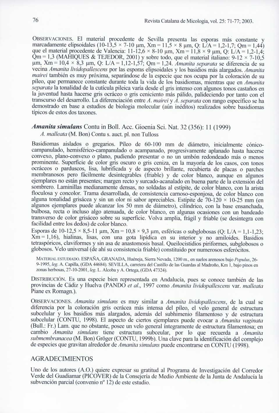 76 Revista Catalana de Micologia, vol. 25: 71-77; 2003. OBSERVACIONES.