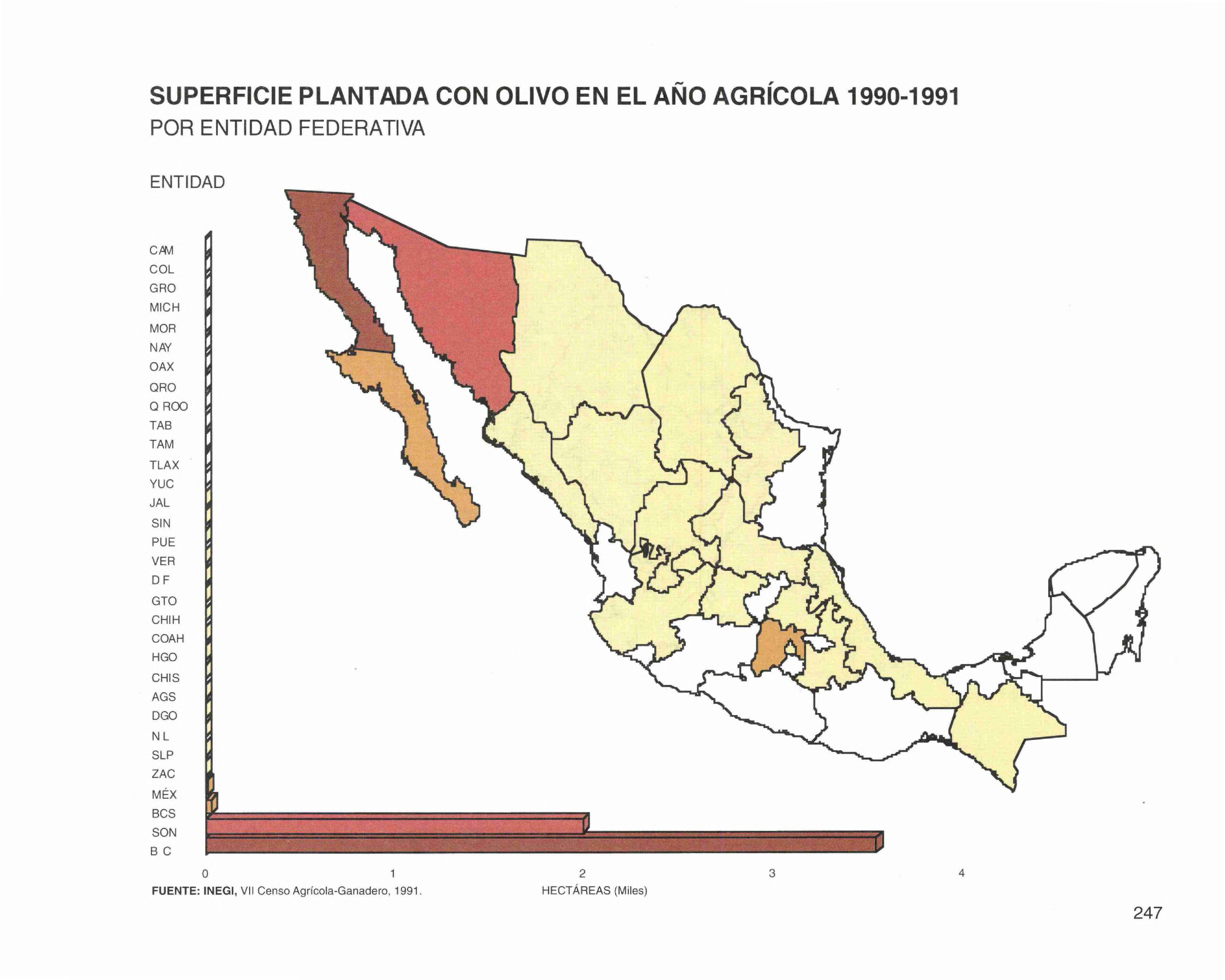 SUPERFICIE PLANTADA CON OLIVO EN EL AÑO AGRÍCOLA 1990-1991 POR ENTIDAD