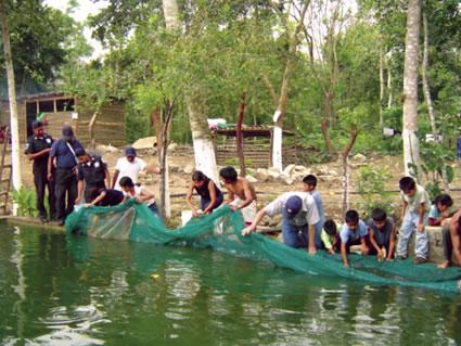 La acuicultura es el conjunto de actividades, técnicas y conocimientos de cultivo de especies acuáticas vegetales y animales.