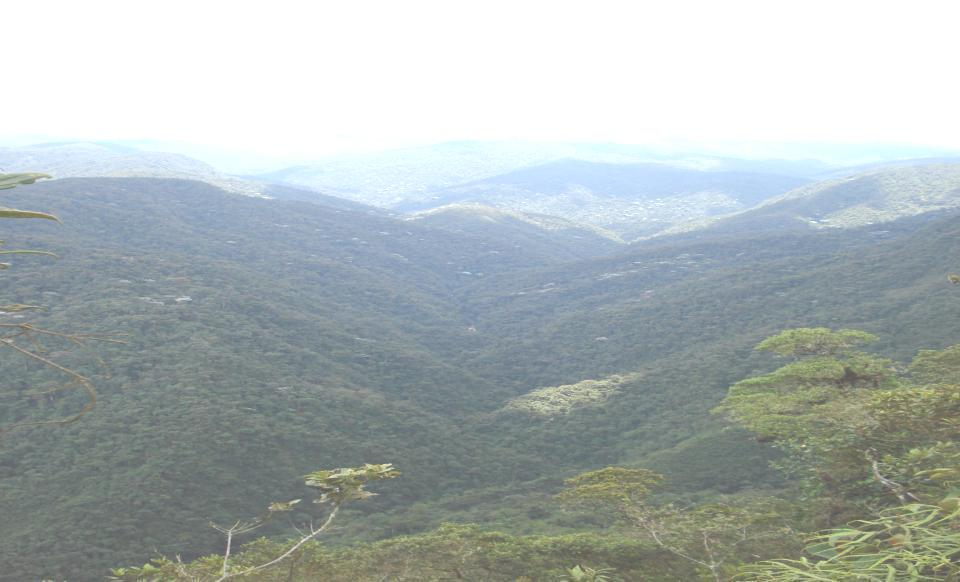 Programa Conjunto (PC) Integración de ecosistemas y Adaptación al Cambio Climático en el Macizo Colombiano Duración: 3 años, marzo 2008 a marzo 2011.