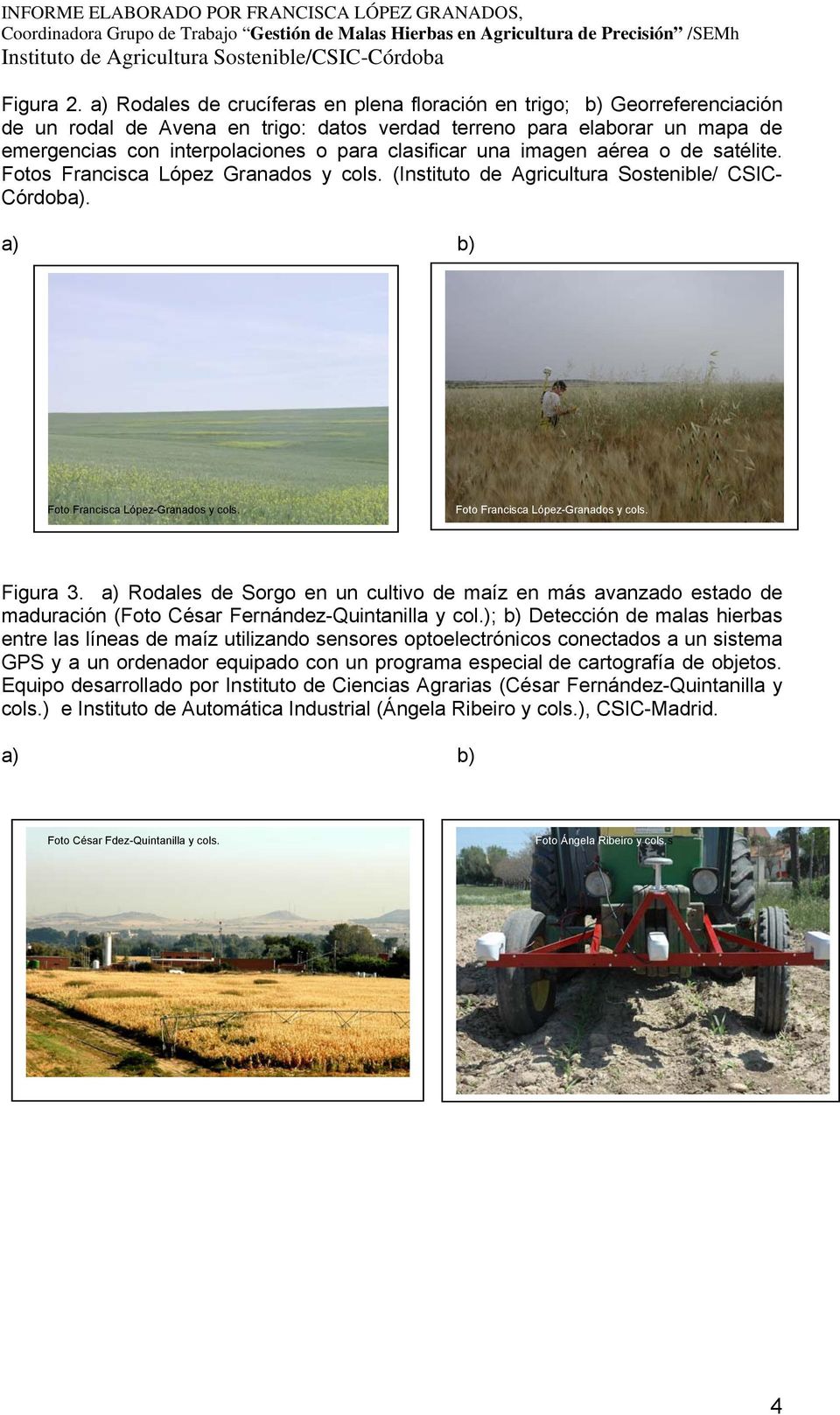 clasificar una imagen aérea o de satélite. Fotos Francisca López Granados y cols. (Instituto de Agricultura Sostenible/ CSIC- Córdoba). Figura 3.