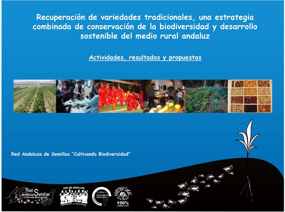 desarrollo sostenible del medio rural andaluz,