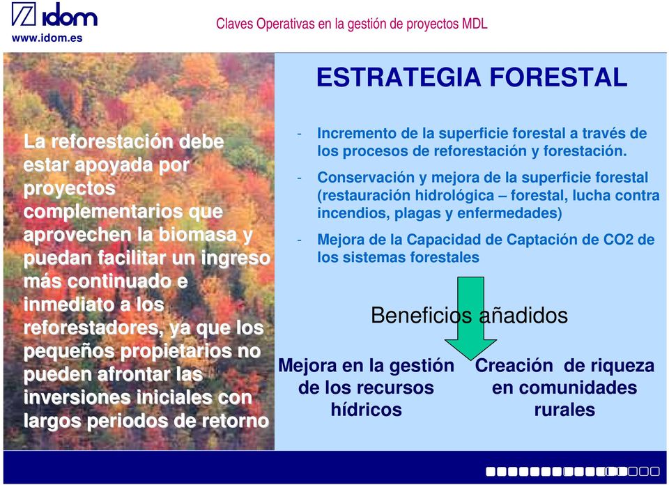 los procesos de reforestación y forestación.