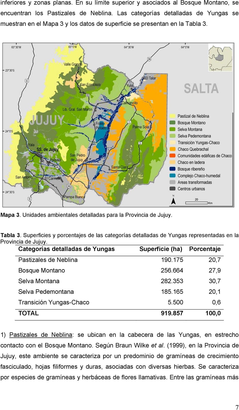 Mapa 3. Unidades ambientales detalladas para la Provincia de Jujuy. Tabla 3. Superficies y porcentajes de las categorías detalladas de Yungas representadas en la Provincia de Jujuy.