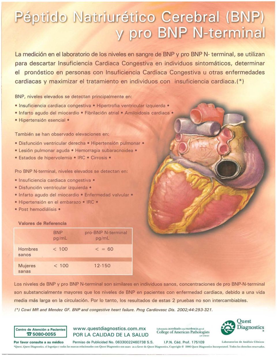 ( * ) BN P, niveles elevados se detectan principalmente en: Insuficiencia cardiaca congestiva Hipertrofia ventricular izquierda Infarto agudo del miocardio Fibrilación atrial Amiloidosis cardiaca