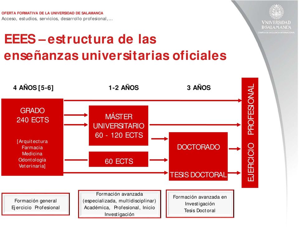 TESIS DOCTORAL EJERCICIO PROFESIONAL Formación general Ejercicio Profesional Formación avanzada