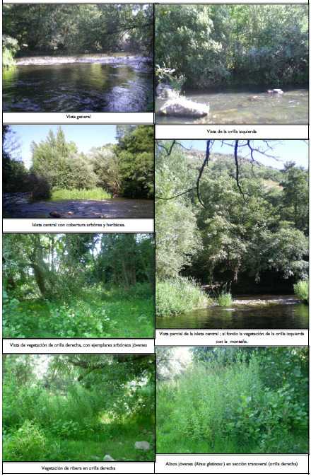 Distribución de caudales mínimos El estudio de la vegetación de ribera se realizó en todas las masas de agua seleccionadas para la simulación hidrobiológica.
