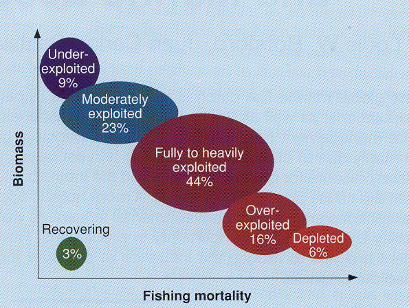 Deterioros de Servicios de Pesca por sobre-explotación: Recursos