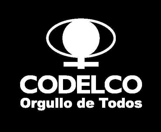 CORPORACION NACIONAL DEL COBRE DE CHILE DIVISION ANDINA DIRECCIÓN DE