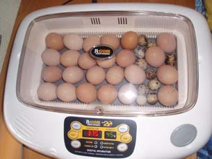 4. LA MAQUINA INCUBADORA Finalidad: Obtener el mayor porcentaje de pollitos viables, a partir de huevos fértiles.