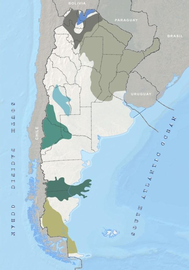 Argentina cuenta con la base de recursos de petróleo y gas para revertir la importación NOROESTE Potencial petrolífero (Bbbls) 4,4 Potencial gasífero (Tcf) 29 CUYANA NEUQUINA GOLFO SAN JORGE AUSTRAL
