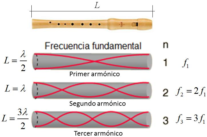 Sin embargo, y a pesar de esta diferencia, la relación entre la frecuencia fundamental y las frecuencias de los armónicos es la misma que en la cuerda, así como también la relación entre la longitud