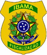 Analista de Medio Ambiente Coordinador General de Fiscalización Ambiental IBAMA/BRASIL jair.schmitt@ibama.