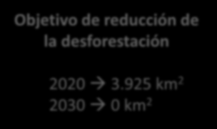 La desforestación en la Amazonía Índice de la desforestación Razones para la desfosretación 0% 9% 9% Agricultura Ganado Minería Otros 82% Objetivo