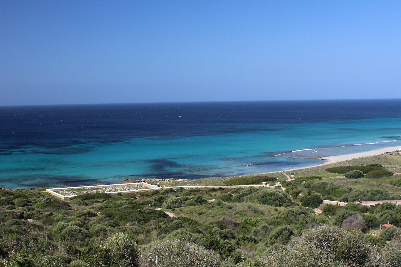 Vistas a la basílica paleocristiana de Son Bou E) Vistas a la costa sur de Menorca (punto interés 5) En el mismo lugar que en el punto anterior, además de la playa y el Prat de Son Bou, podemos
