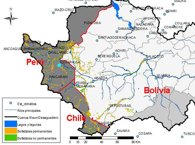 Usuarios de Extracción de agua: Superficie y demanda media de bofedales de la cuenca del río Mauri, 1965-08 PAÍS SUPERFICIE TOTAL (%) Bolivia 40 Perú 40 Chile 20 TOTAL 100 Fuente: (Salazar, 2011) (*)