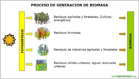 Biomasa Residual Mediante la fotosíntesis las plantas que contienen clorofila, transforman el dióxido de carbono y el agua, en materiales orgánicos con alto contenido