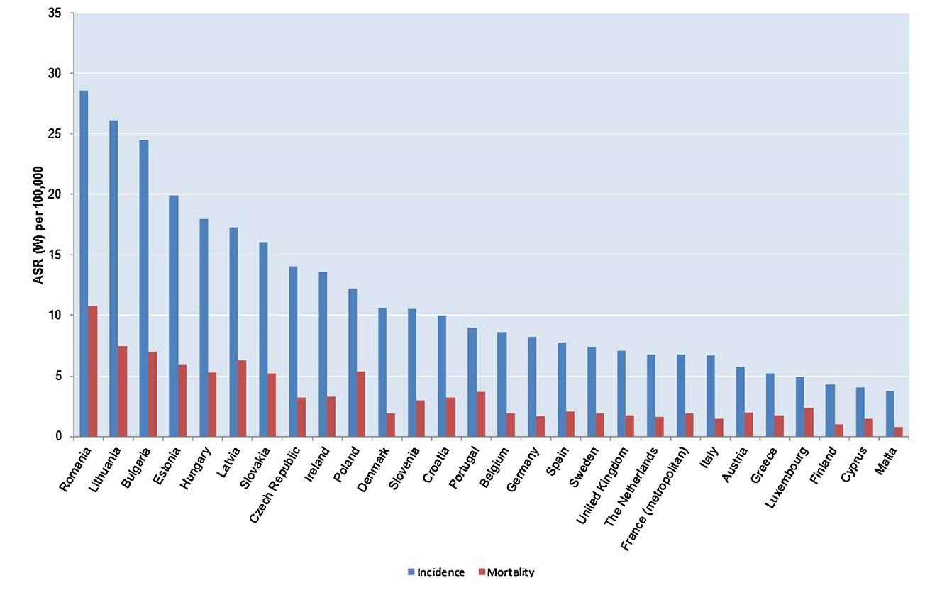 Estimates of cervical cancer incidence and mortality in the 28 member states of the European Union.