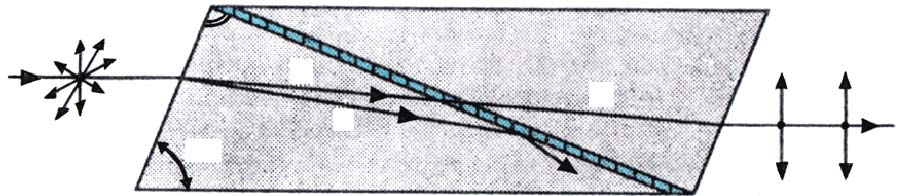 Polarización por Doble Refracción: En un cristal birrefringente, las ondas ordinaria y extraordinaria están polarizadas linealmente en direcciones perpendiculares entre sí.