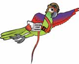 ACCESORIOS Sun Parrots SISTEMAS DE VUELO AVIATOR El arnés Aviator es el único sistema de vuelo con restricción totalmente seguro.