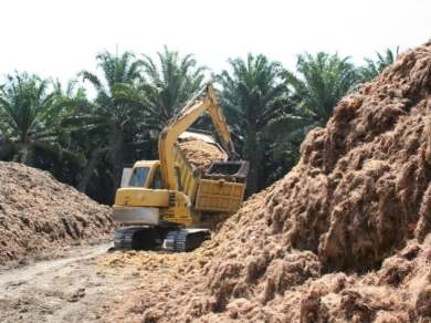 Secado de residuos biomásicos agroindustriales Operaciones de secado Pretratamiento de biomasas en