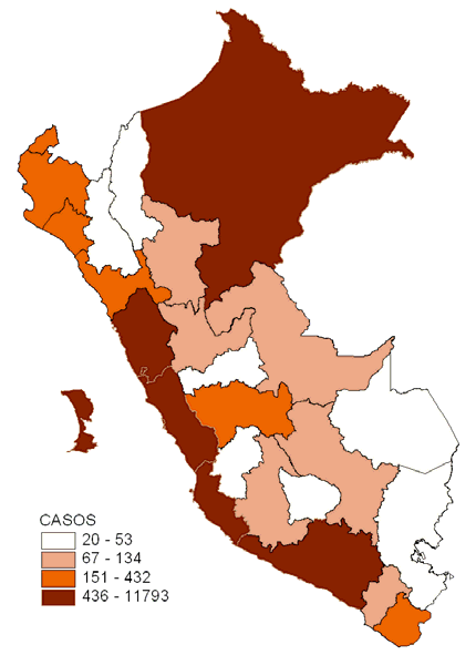 ENFERMEDADES TRANSMISIBLES ITS y VIH/SIDA 25,143 casos de VIH notificados al Junio 2006 18,274 casos de SIDA notificados a Junio 2006 Mayor incidencia y mortalidad en ciudades de la Costa y la Selva