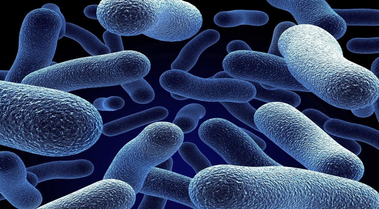 Tema 3 Experto en Resistencias Microbianas Infecciones por Staphylococcus aureus resistente a