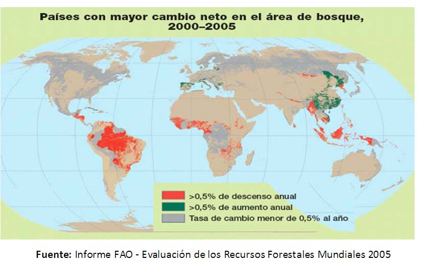 FAO-Recursos forestales Mundiales Reducción